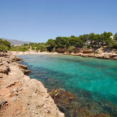 Mediterranea Calafat